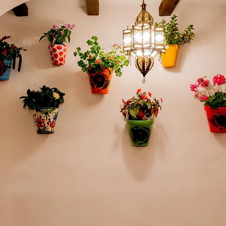Casa Del Patio - Boutique (adults Only) شقة