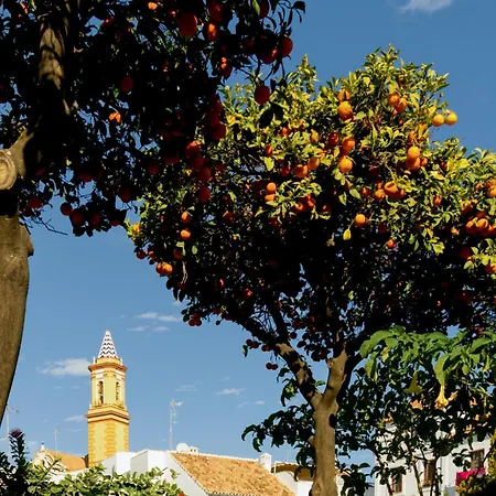 Casa Del Patio - Boutique (adults Only) Apartment