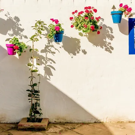 Lejlighed Casa Del Patio - Boutique (adults Only)