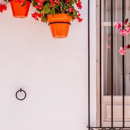 Lejlighed Casa Del Patio - Boutique (adults Only) Estepona