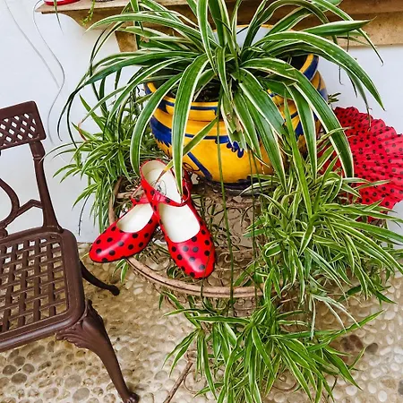 Appartement Casa Del Patio - Boutique Estepona