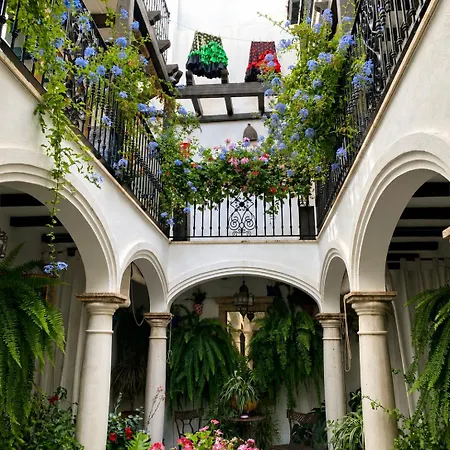 Casa Del Patio - Boutique Appartement *