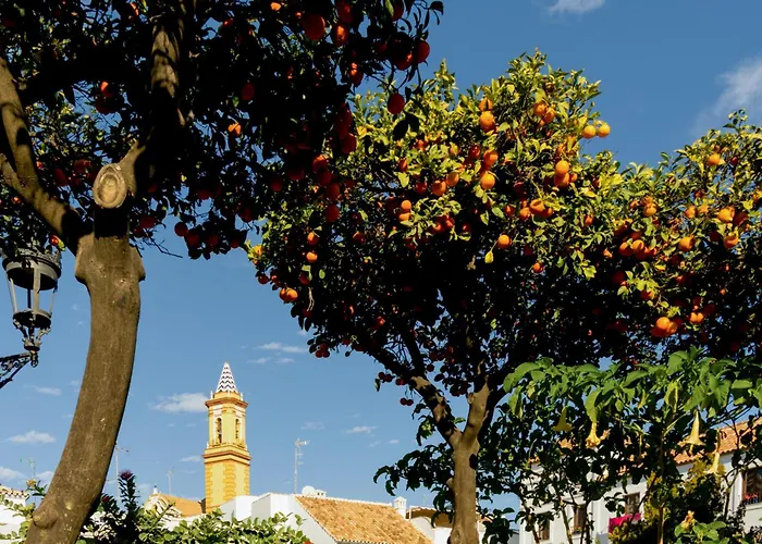 Casa Del Patio - Boutique (adults Only) 아파트